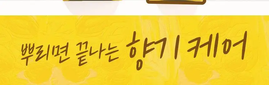 [열보호/퍼퓸] 헤어플러스 단백질 본드 워터에센스 200ml+50ml 증정기획 퍼퓸팔레트 (노워시/헤어미스트) 상세페이지 5